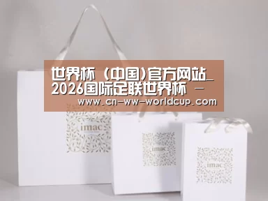 项目名称十一