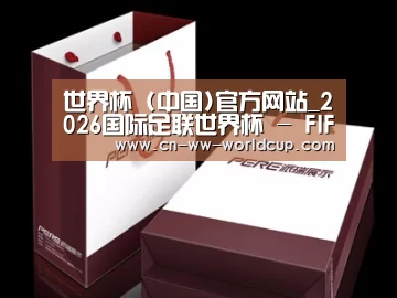 项目名称十二