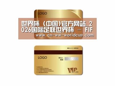 项目名称三