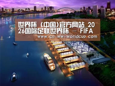案例展示八